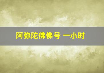 阿弥陀佛佛号 一小时